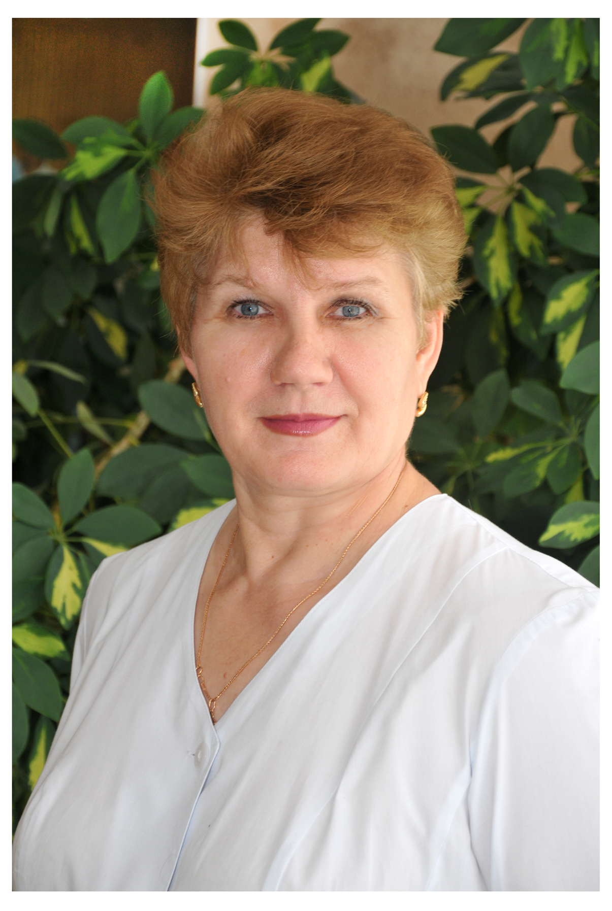 misakova lgs