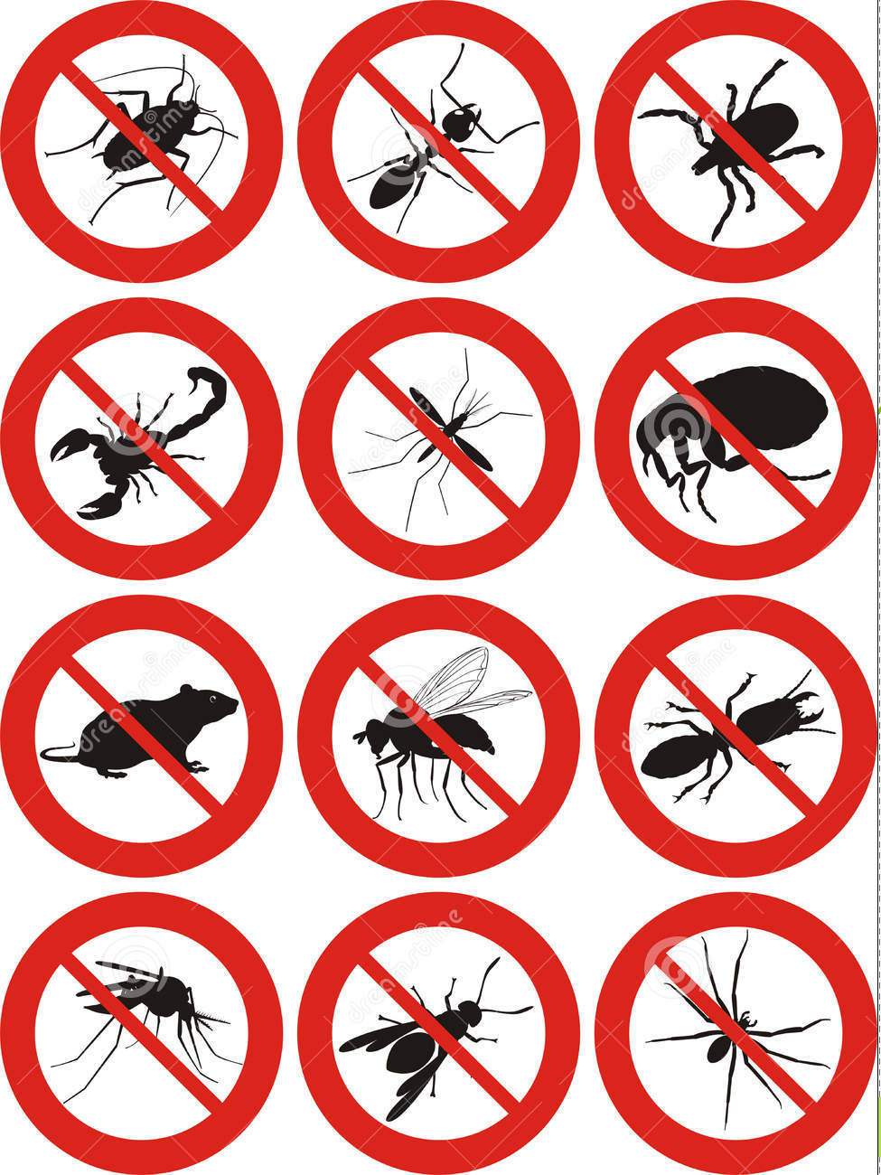 stop