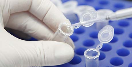 kd-lab