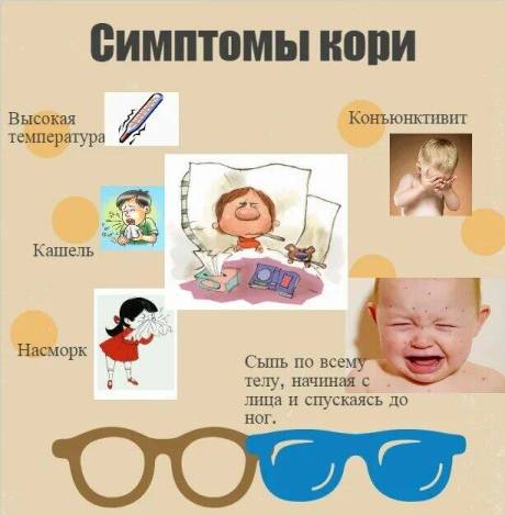 kori net info